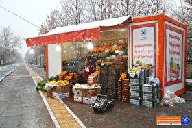 استقرار ۲۰ کانکس عرضه مستقیم میوه و تره‌بار در مشهد با هدف تنظیم بازار در شب یلدا ۱۴۰۴ + آدرس