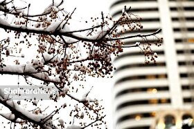 استان‌های خراسان‌ جزو پربارش‌ترین نقاط کشور در آذر ماه ۱۴۰۴ بودند + فیلم