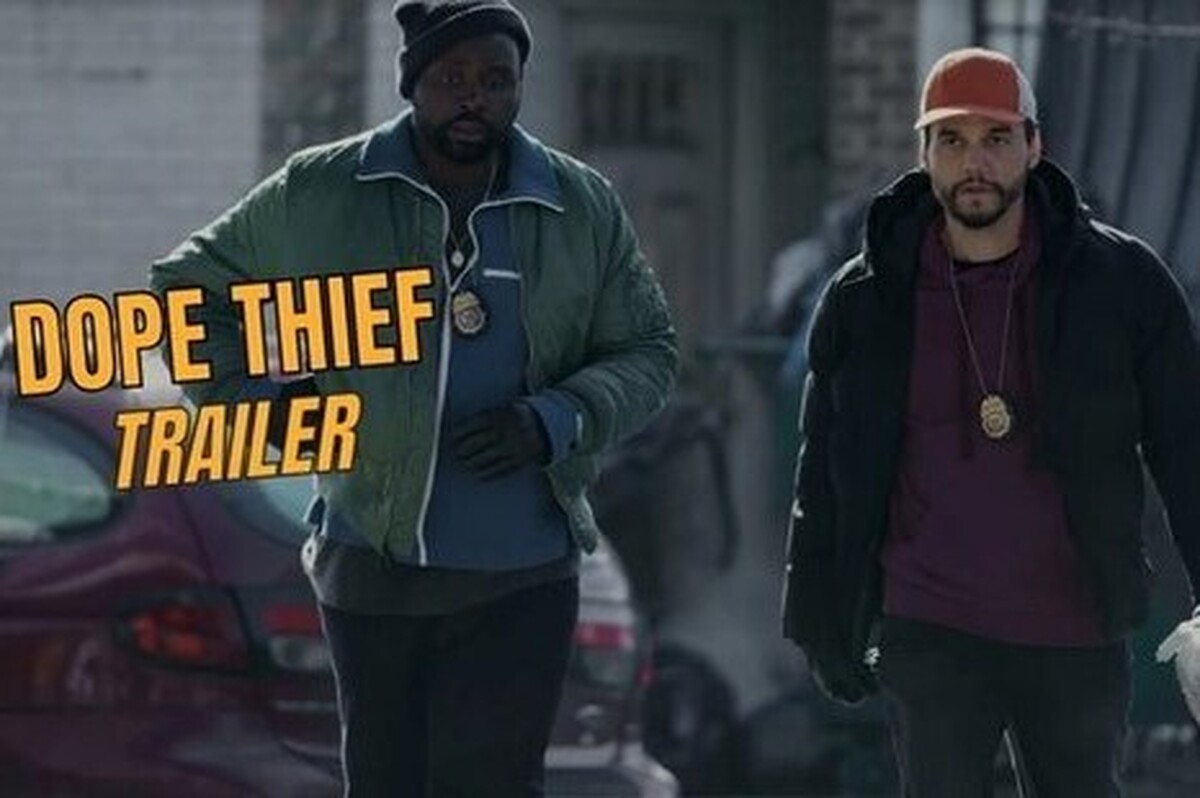 سریال «سایه سرقت» با گویندگی ۲۸ نفر از گویندگان گفتار فیلم دوبله شد.