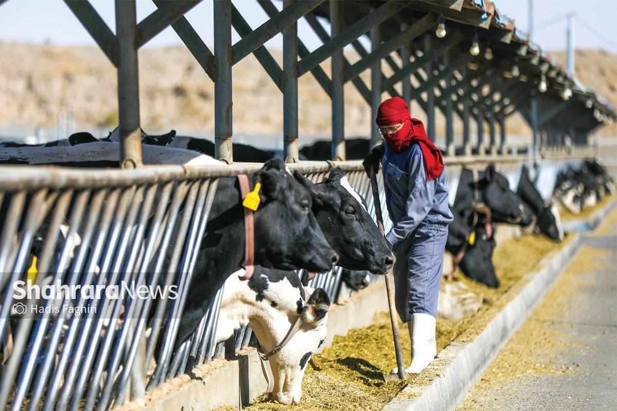 رئیس مجمع نمایندگان استان تهران گفت: خط اعتباری بین بانک کشاورزی و بانک مرکزی ایجاد شده تا مرغداران و دامداران بتوانند نهاده‌ مورد نیاز خود را خریداری کنند.