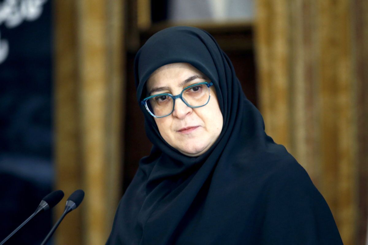 فاطمه مهاجرانی سخنگوی دولت عنوان کرد: حق دسترسی آزاد به اطلاعات و اینترنت، باور دولت است و ما مخالف قطع اینترنت بودیم، اما این تصمیم نهادهای امنیتی بود.