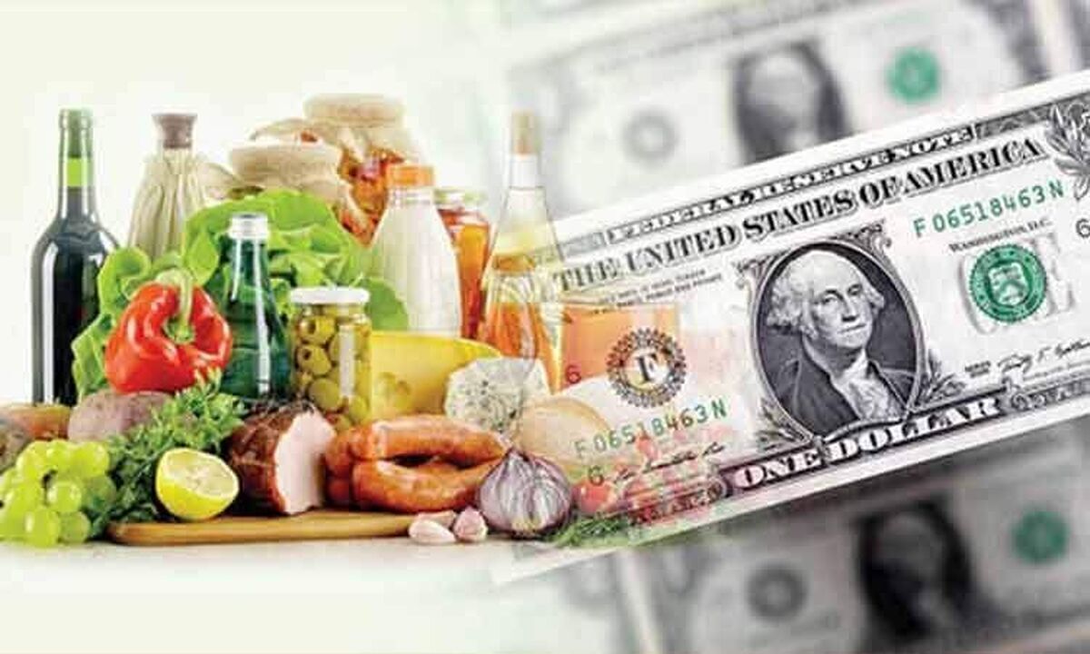 یک کارشناس با بیان اینکه سیاست حذف ارز ترجیحی باید سال‌ها قبل اعمال و اجرا می‌شد، تاکید کرد: در شرایط حاضر اگر دولت بتواند با توجه به تورم قیمت ارز را ثابت نگه دارد، اثرگذار است.