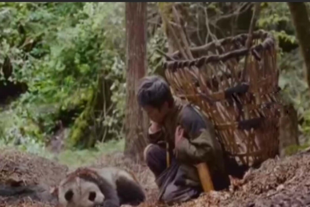 فیلم سینمایی «بازگشت پاندا به خانه» از شبکه امید پخش می‌شود.