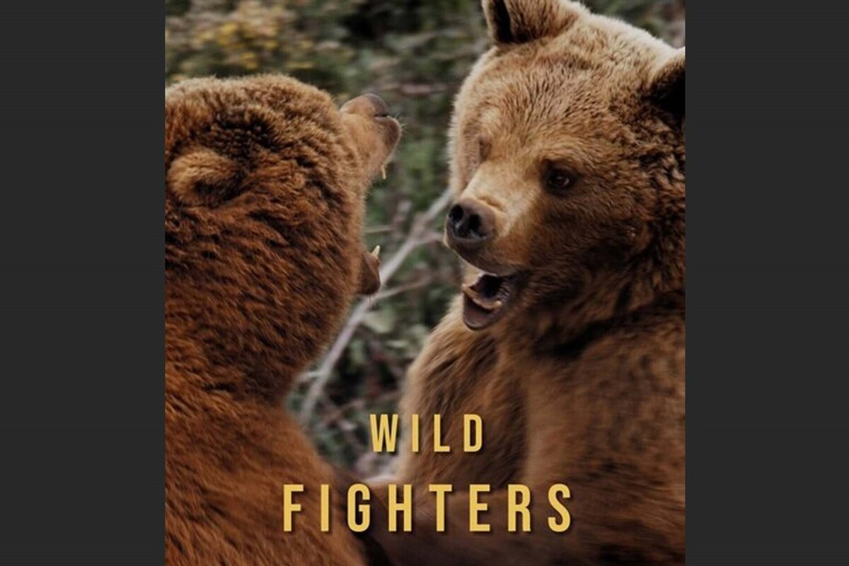 دوبله مستند «مبارزین حیات وحش» برای تلویزیون