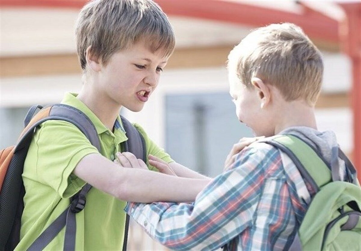 فوق‌تخصص روانپزشکی کودک و نوجوان شناسایی عوامل مؤثر بر پرخاشگری را نخستین گام در مهار آن دانست.