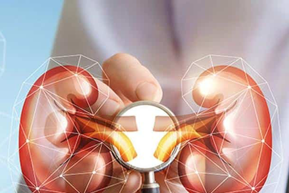 در حالی که سلامت کلیه ارتباط محکمی با عملکرد صحیح دیگر اعضای بدن از جمله کبد، قلب، چشم و مغز دارد، فوق تخصص کلیه هشدار داد: بیماری‌های کلیوی معمولا بدون علامت آغاز می‌شوند.