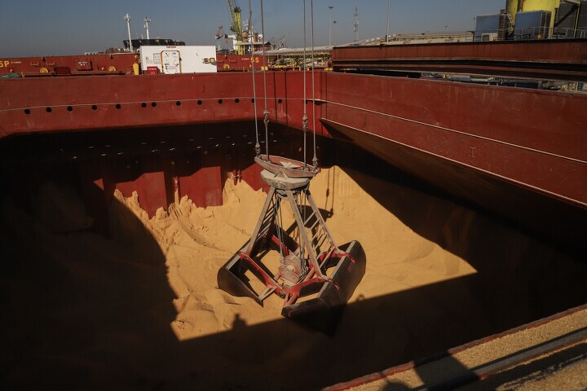 طلب ۱.۵ میلیارد یورویی واردکنندگان نهاده دامی از دولت | دپو ۴۰۰ هزار تن خوراک دام در بنادر