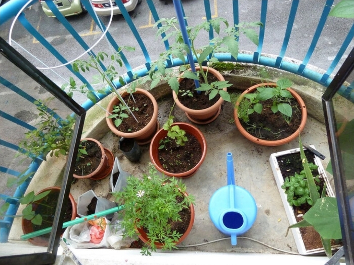 با فرا رسیدن فصل زمستان و افت محسوس دما، مراقبت از فضای سبز بیرونی یکی از چالش‌های اساسی باغداران و علاقه‌مندان به گل و گیاه است.