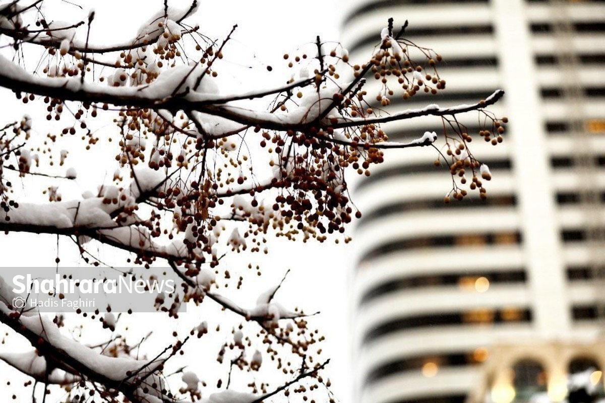 کارشناس اداره کل هواشناسی خراسان رضوی گفت: امروز و فردا، افزایش دما خواهیم داشت و از روز چهارشنبه، علاوه بر کاهش محسوس دمای هوا، بر حجم و مقدار بارش‌ها افزوده می‌شود که بارش به شکل برف است و در مناطق کوهستانی، کولاک برف و مه‌آلودگی رخ خواهد داد.