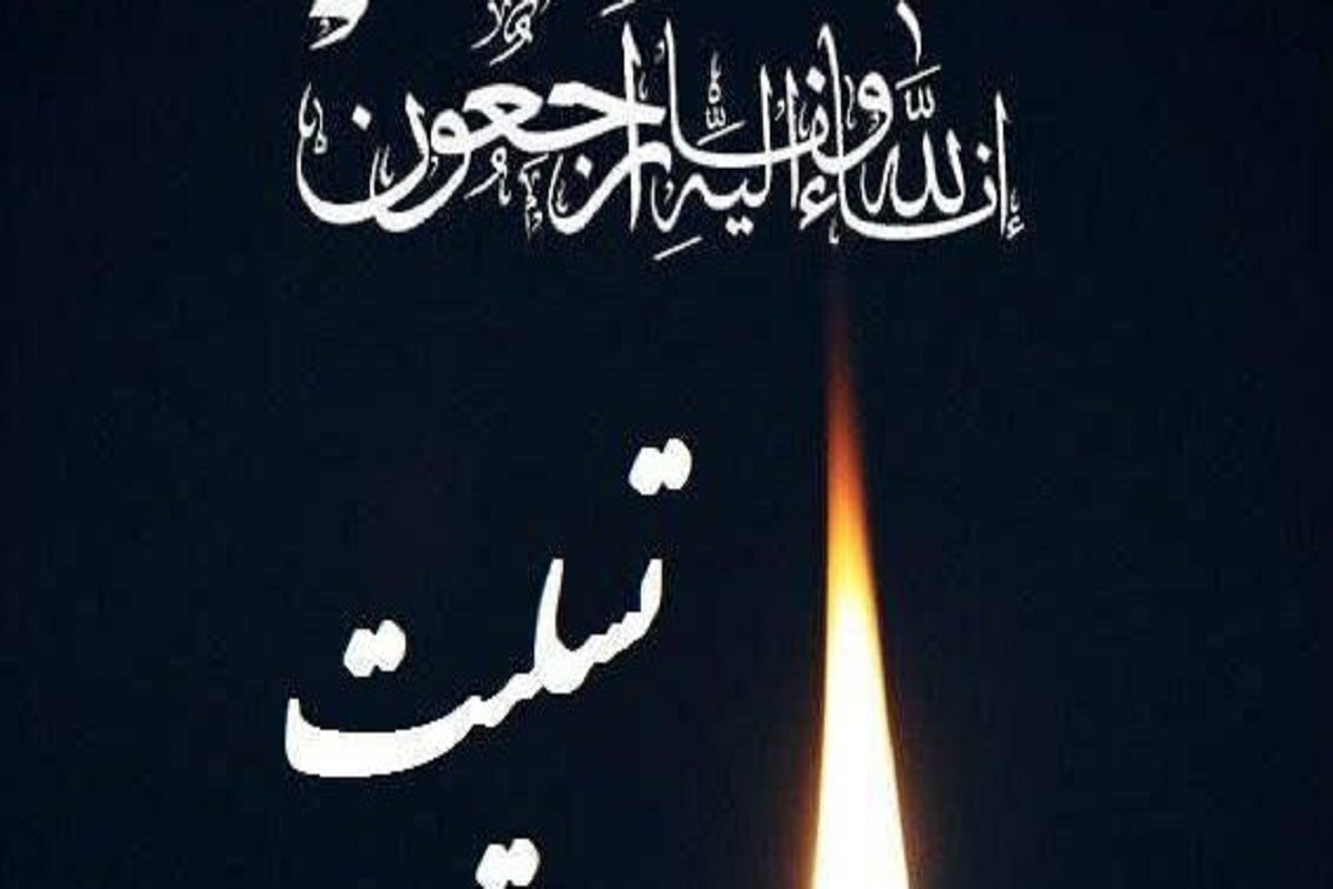 حضرات آیات حسین نوری‌همدانی و عبدالله جوادی‌آملی در پیام‌های جداگانه‌ای، درگذشت «آیت‌الله سیدهادی سیستانی» را به آیت‌الله سیدعلی سیستانی از مراجع تقلید تسلیت گفتند.