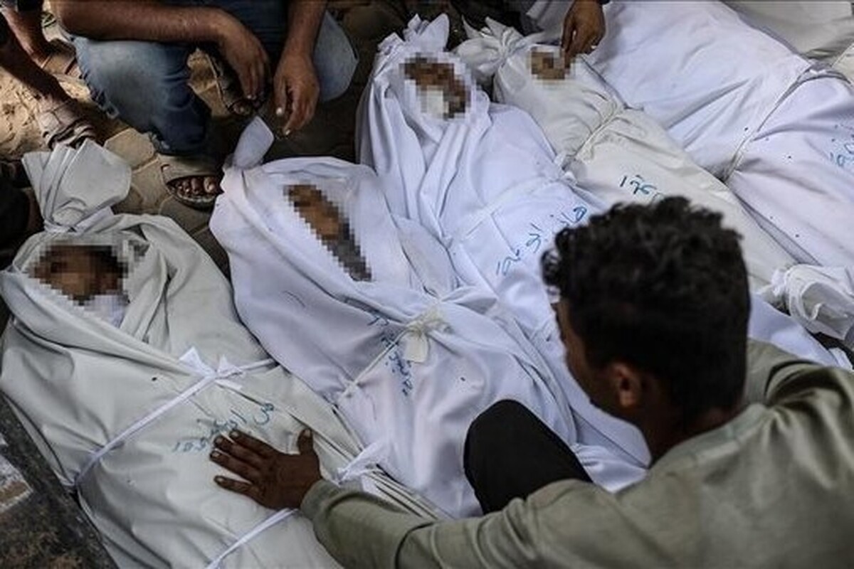 وزارت بهداشت فلسطین در غزه از ورود یک شهید و ۷ زخمی به بیمارستان‌های این باریکه خبر داد.