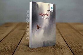 برفی که آن همه راه آمده بود | نگاهی به «درنا در بزرگراه» هفتمین مجموعه شعر لیلا کردبچه