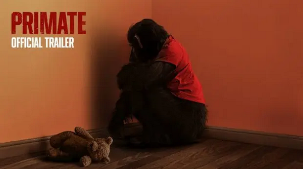 مورد انتظارترین فیلم‌هایی که در ژانویه ۲۰۲۶ اکران می‌شوند