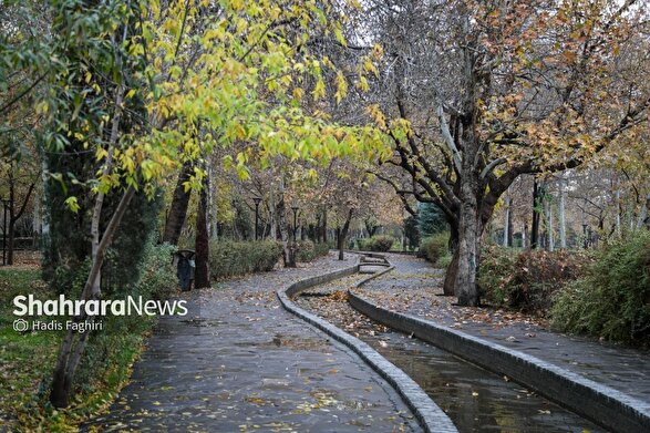 باران زمستانی، هوای مشهد را شست (دوشنبه، ۸ دی‌ماه ۱۴۰۴)