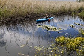 تأکید رئیس سازمان محیط زیست بر احیای تالاب بندعلیخان و جلوگیری از تشکیل کانون گردوغبار