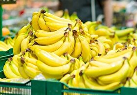 قیمت امروز میوه و تره‌بار در مشهد (۸ دی ۱۴۰۴) | موز از ۵۰ تا ۱۷۵ هزار تومان