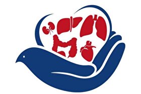 افزایش موارد اهدای عضو پس از فرهنگ‌سازی مؤثر | ثبت رکورد ۱۷۲ مورد اهدای عضو از مرگ مغزی طی یک سال