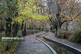 باران زمستانی، هوای مشهد را شست (دوشنبه، ۸ دی‌ماه ۱۴۰۴)