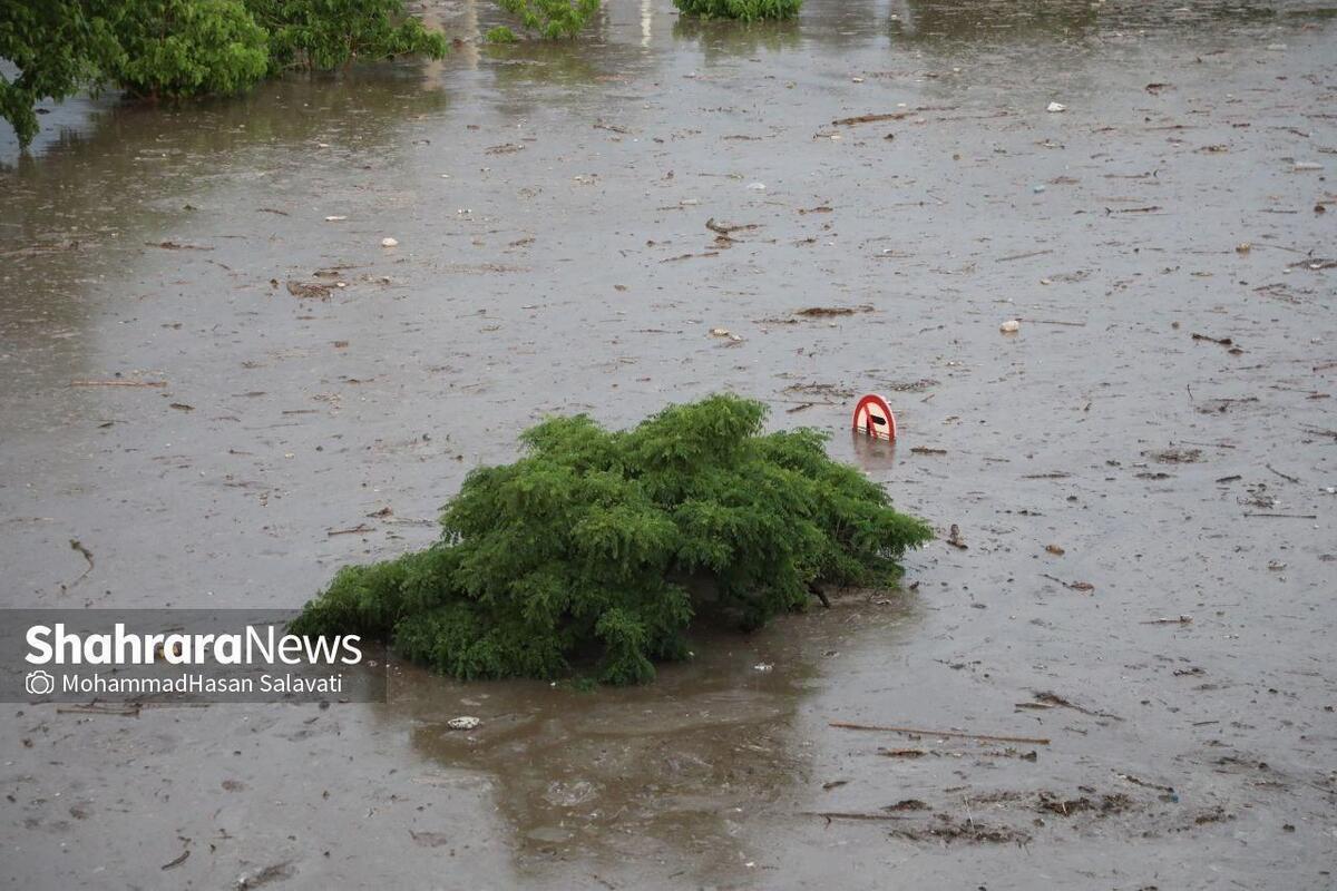 در پی فعالیت سامانه‌های بارشی و وقوع سیلاب و برف و کولاک در ۲۵ استان کشور، امدادگران در ۷۲ ساعت گذشته به بیش از ۱۷ هزار نفر خدمات امدادی و حمایتی ارائه کردند. این حوادث تاکنون ۹ فوتی، ۱۵ مصدوم و ۲ مفقودی بر جای گذاشته است.