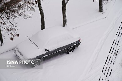 گزارش تصویری | اردبیلِ سفید