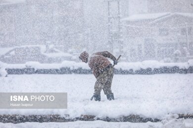 گزارش تصویری | بارش سنگین برف در شهرستان سوادکوه - مازندران