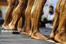 گزارش تصویری | بدنسازان استان خراسان رضوی روی صحنه مسابقه (۱۰ بهمن ۱۴۰۴)