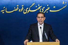 سخنگوی قوه‌قضائیه: افزایش قیمت ایران‌خودرو بدون تشریفات قانونی و بدون تأیید است | ساعدی‌نیا در بازداشت بوده و اموالش توقیف شده است