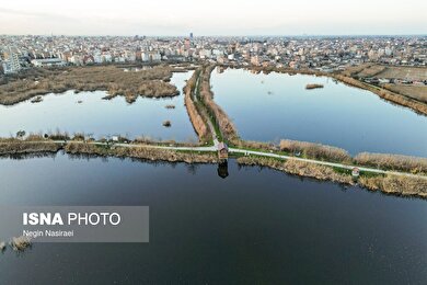 گزارش تصویری | وقتی تالاب‌ می‌میرد...