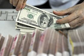 در اصلاحات اقتصادی باید مراقب بود تا مردم کمتر آسیب ببینند | فشار تورمی چاپ پول، شدیدتر از حذف ارز ترجیحی