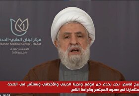 شیخ نعیم قاسم: دشمن صهیونیستی اهداف توسعه‌طلبانه در لبنان و منطقه دارد