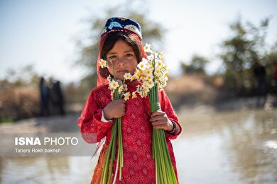 گزارش تصویری | هشتمین جشنواره گل نرگس - کازرون