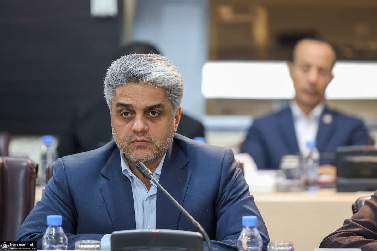 بازسازی ۱۰۰۰ المان قدیمی و ساخت ۳۵۰ المان جدید در مشهد برای استقبال از بهار ۱۴۰۵