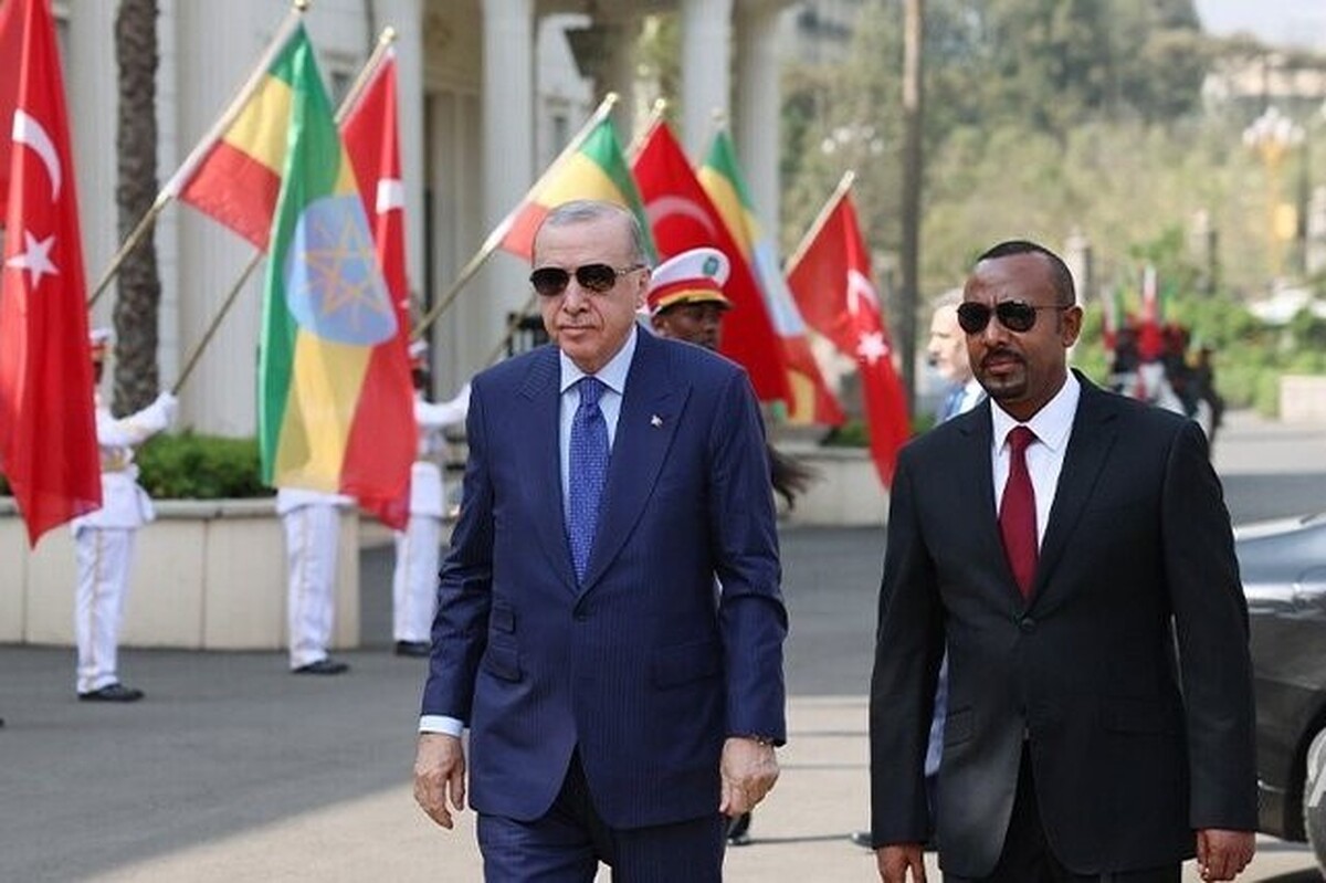 اردوغان: تصمیم اسراییل برای به رسمیت شناختن سومالی&zwnj;لند بی&zwnj;فایده است