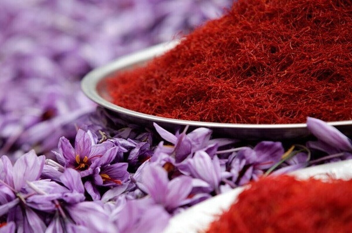 بررسی معاملات زعفران در بورس کالا؛ تغییرات موقعیت&zwnj;ها و حجم روزانه