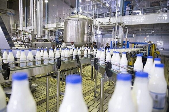 لبنیات خراسان رضوی در تنگنای رقابت | صادرات محصولات لبنی از استان «صفر» شد