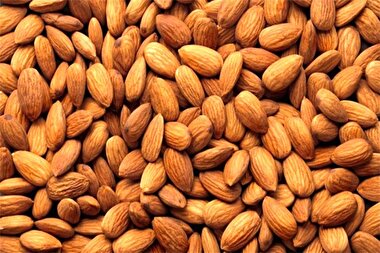 اینفوگرافی| فواید مصرف بادام