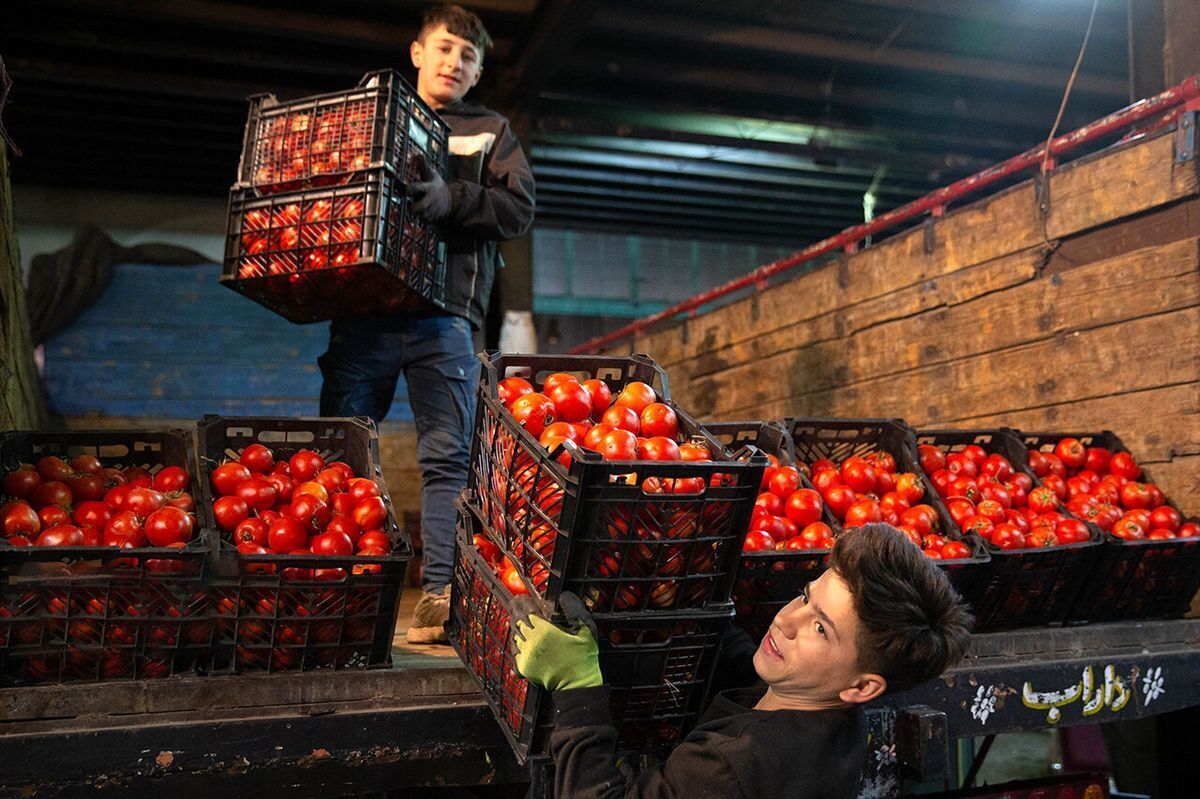 اتحادیه بارفروشان مشهد قیمت عمده‌فروشی در میادین تره‌بار را اعلام کرد.