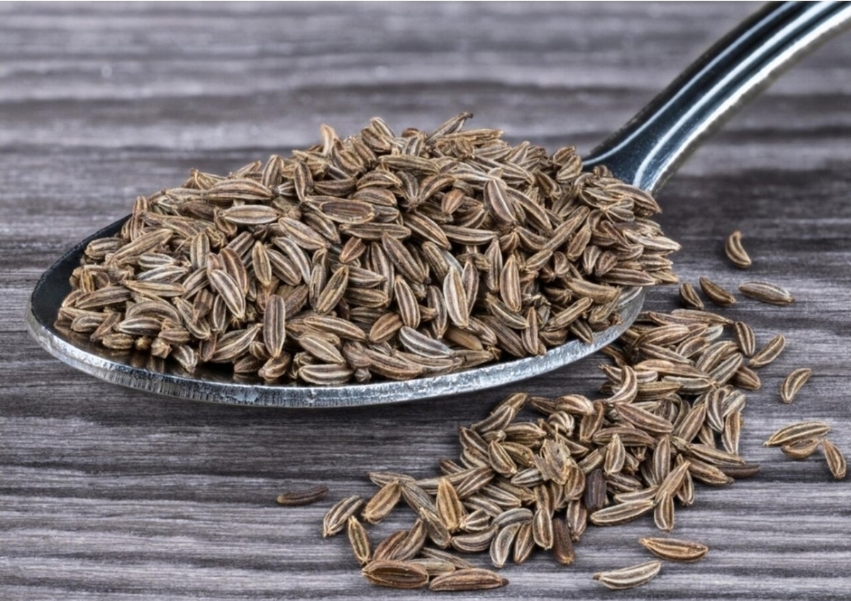 یکی از قدیمی‌ترین ادویه‌های شناخته‌شده در آشپزی و طب سنتی ایران، زیره است که هم به دلیل عطر خاص و هم به‌خاطر خواص درمانی‌اش جایگاه ویژه‌ای دارد.