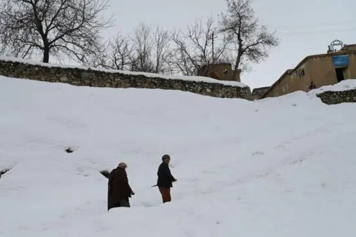 سفارت جمهوری اسلامی ایران در افغانستان، جان‌باختن شماری از شهروندان این کشور در پی بارش شدید برف و باران را تسلیت گفت.