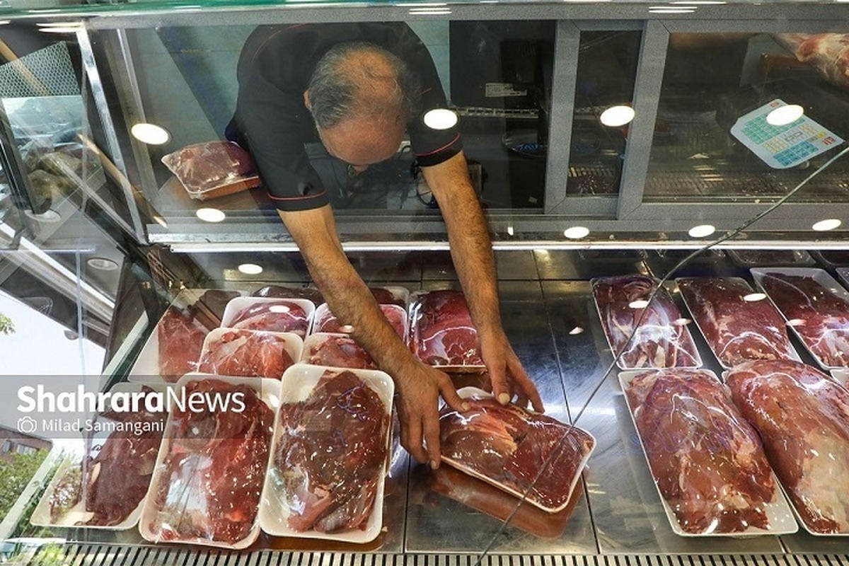 کاهش قیمت گوشت در خراسان رضوی ظرف ۷ تا ۱۰ روز آینده (۶ بهمن ۱۴۰۴)