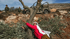 سرنوشت زنی که نماد فلسطین شد| درختان زیتون شهیدند!