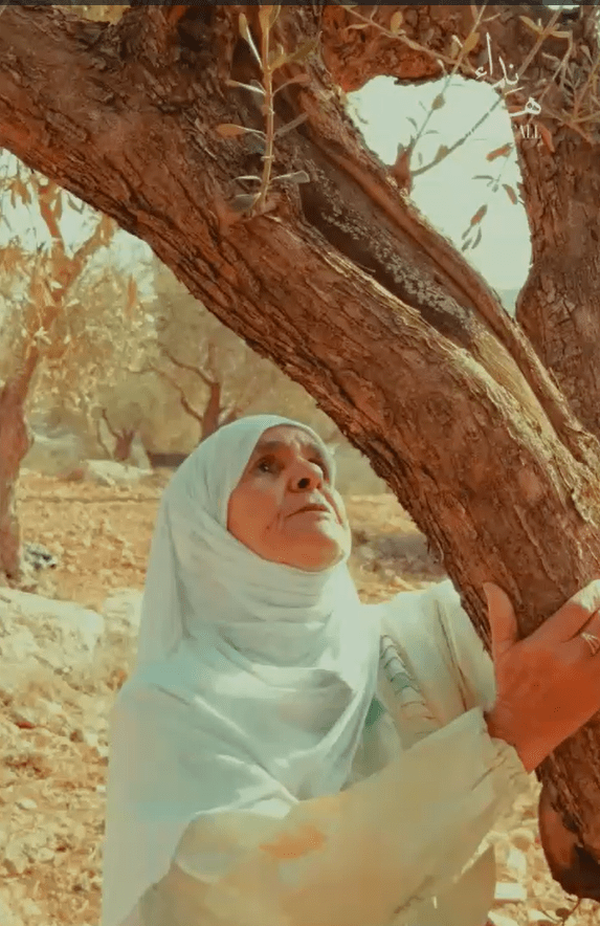 سرنوشت زنی که نماد فلسطین شد| درختان زیتون شهیدند! + فیلم