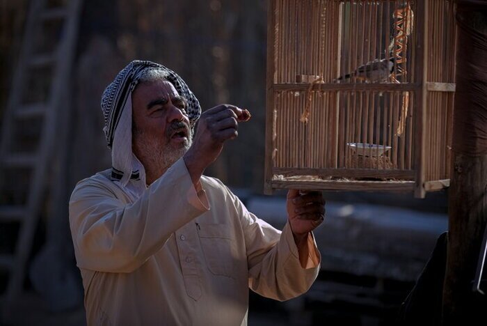 معرفی فیلم «پل» از محمد عسگری، کارگردان «آسمان غرب» + عکس، خلاصه داستان و بازیگران