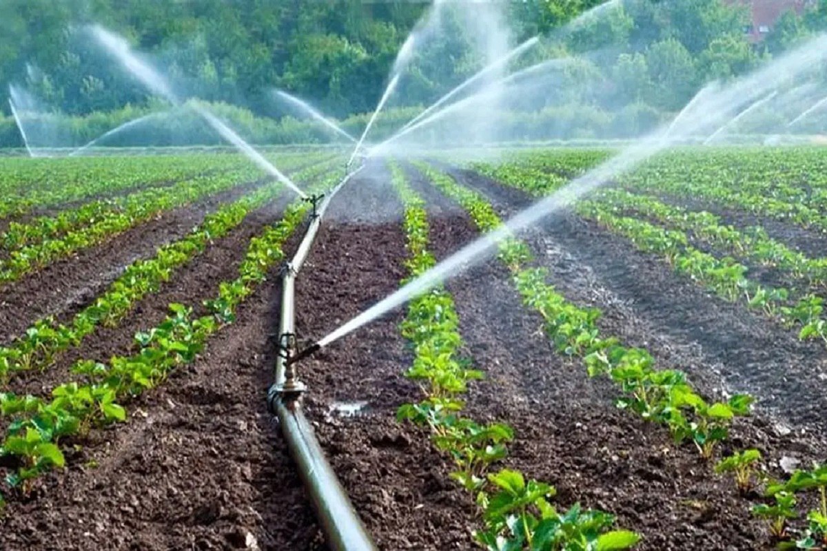 از آبیاری نوین تا بذرهای اصلاح‌شده در نمایشگاه کشاورزی مشهد| پاسخ‌های تازه به چالش‌های کهنه کشاورزی ایران