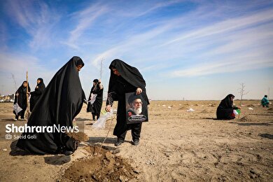 گزارش تصویری | پویش درختکاری در بوستان کرامت مشهد (۱۶ اسفند ۱۴۰۴)