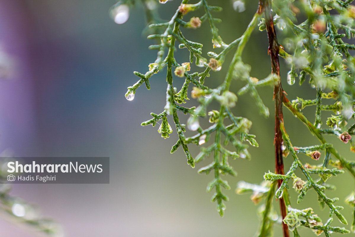 پیش‌بینی هفتگی بارش و دمای هوای کشور تا ۲۳ فروردین ۱۴۰۵
