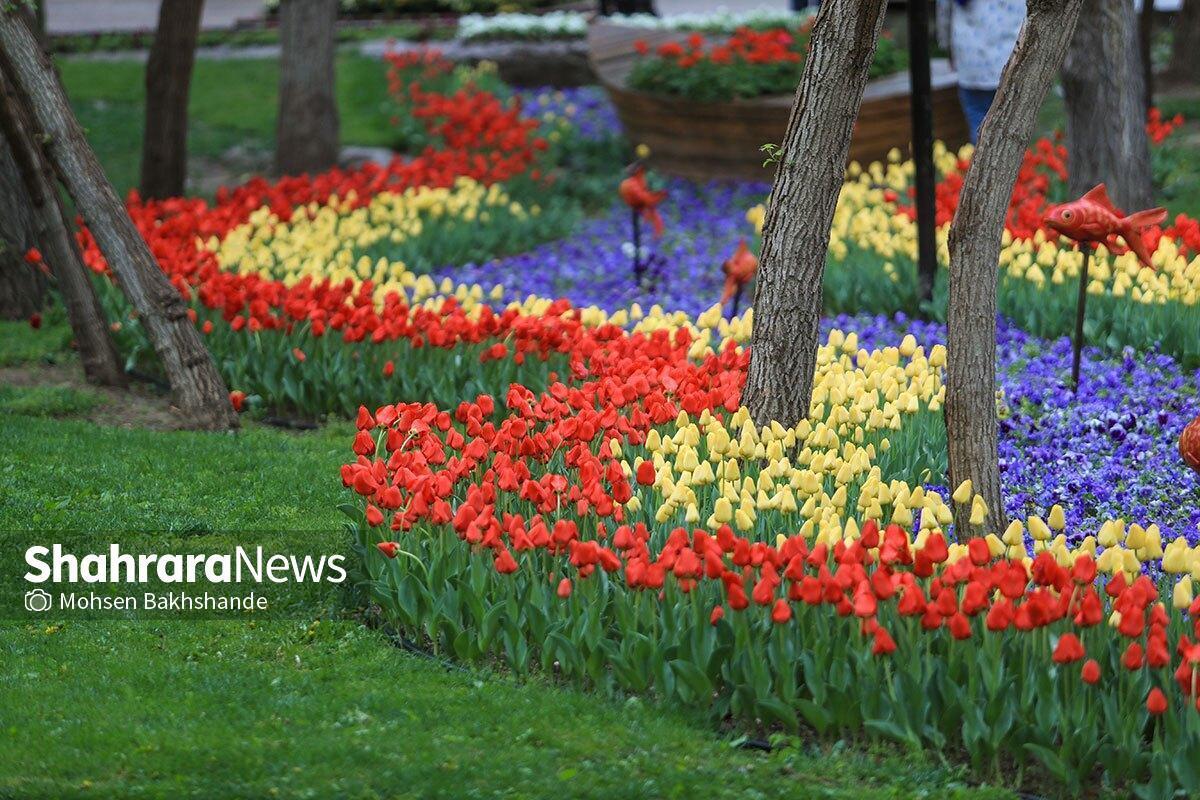 برگزاری جشنواره گل در پیشخان &laquo;سلام&raquo; پایانه مسافربری امام&zwnj;رضا(ع) مشهد برای استقبال از زائران