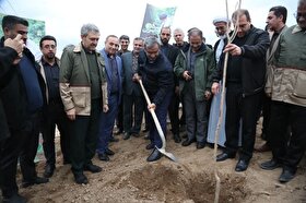 ریشه‌های «سرو ایران» در خراسان رضوی | پویش کاشت ۴۲ میلیون اصله نهال در استان آغاز شد