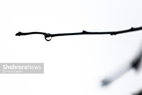 بارش باران و مه‌گرفتگی در جاده‌های خراسان رضوی (۲۷ اسفند ۱۴۰۴)