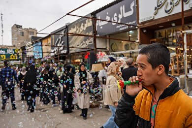 گزارش تصویری | حال‌وهوای بازار گل و گیاه مشهد در آستانه نوروز ۱۴۰۵